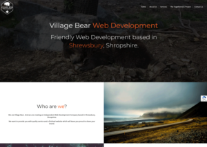 Project - Village Bear